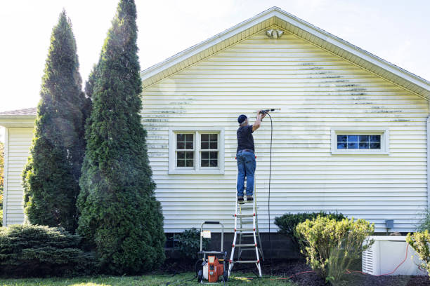 Garage Pressure Washing in Chena Ridge, AK